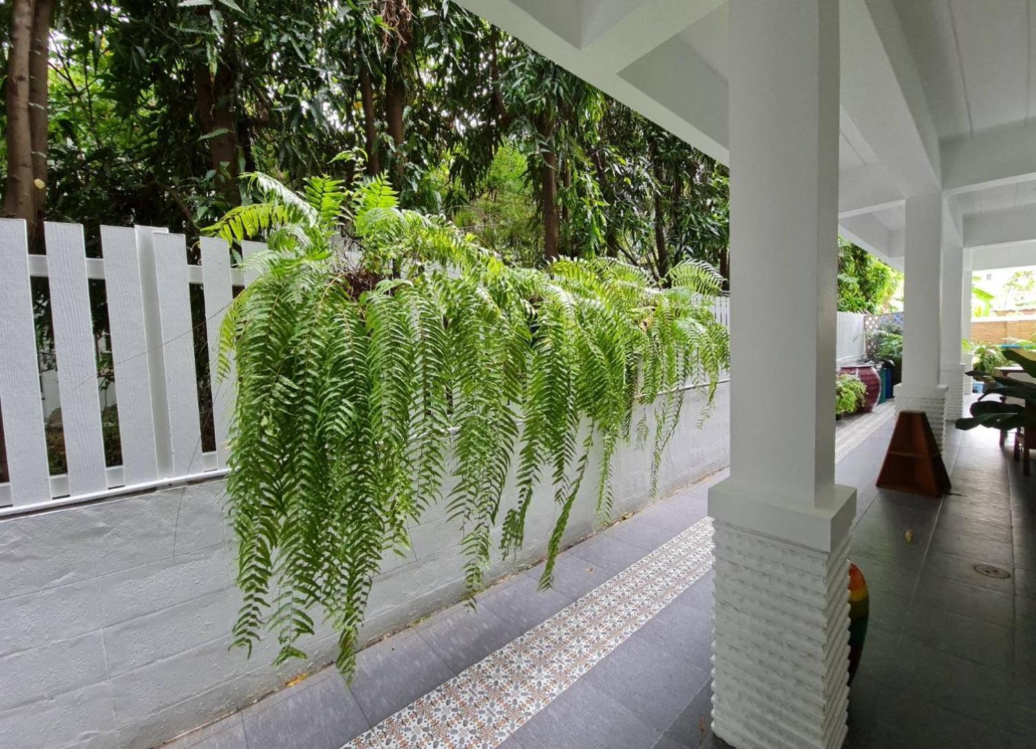 88 Backpackers Hua Hin Hotel Exterior photo